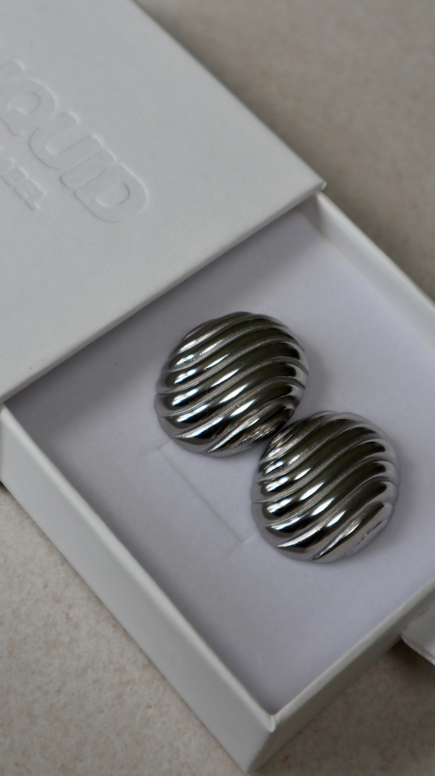 Boucle d'oreille sculptée - Argent