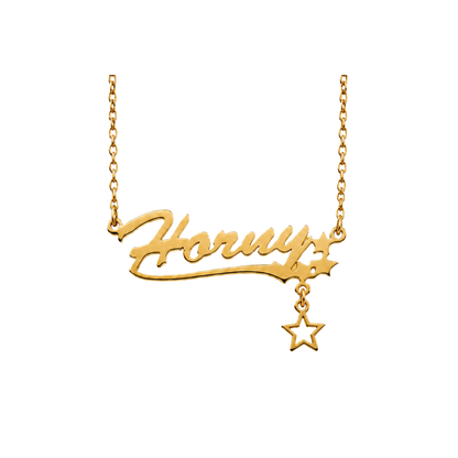 H⭐️RNY Necklace-Gold/Silver